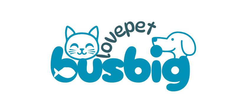 Busbig Store